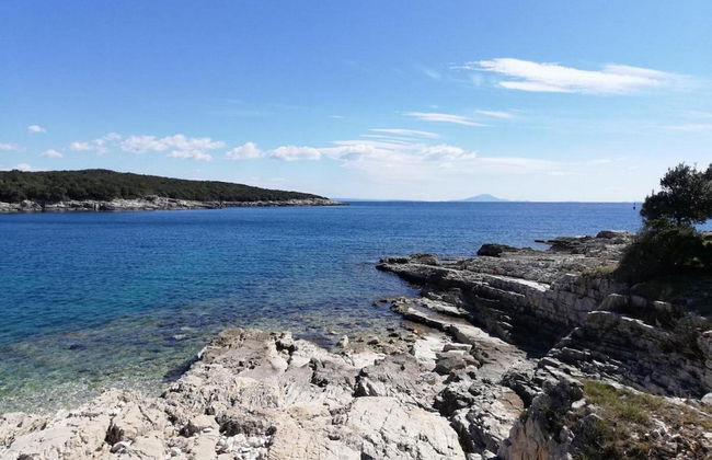 Apartment Baselak - Foto 28