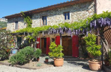 La Corte del Falco - Foto 1