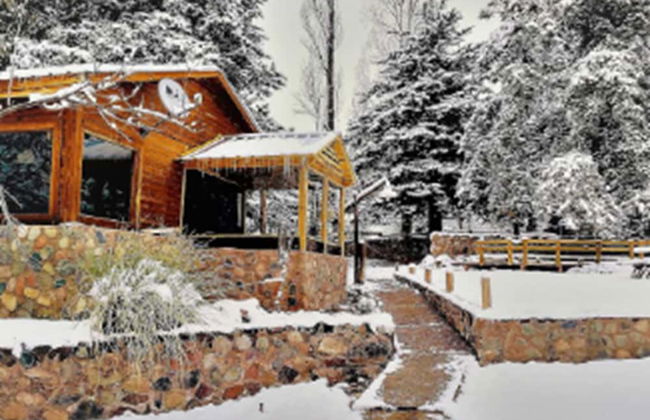 Las Retamas - Foto 10