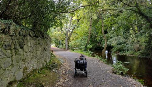 Ryan's Cottage - Photo 2