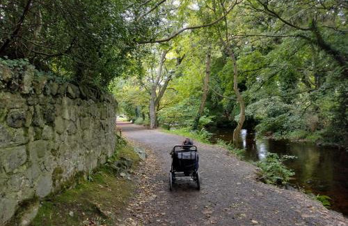 Ryan's Cottage - Photo 2