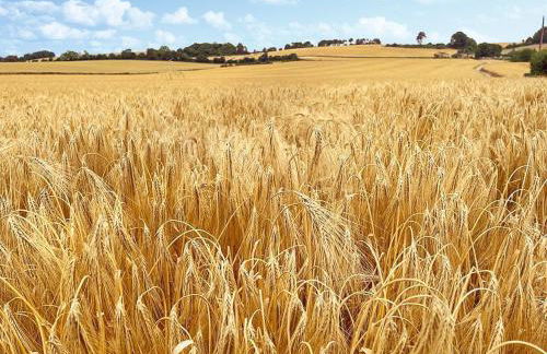 The Oast - Uk49207 - Foto 29