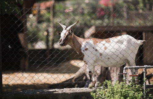 Untermairhof - Foto 27