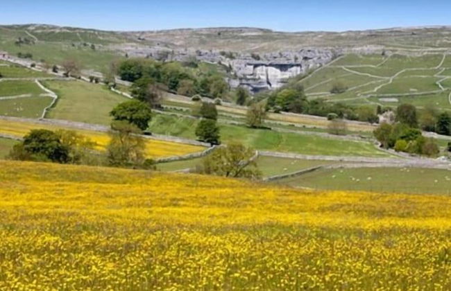 Linton Court Coach House - Photo 40