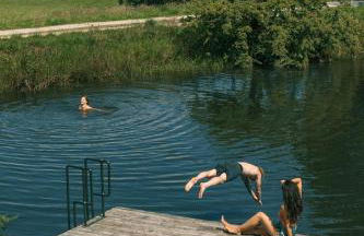 Yellison at Broughton Sanctuary - Photo 3