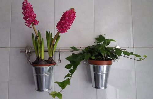 Piso con Encanto en Coruña. - Foto 35