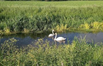 Lincoln Holiday Retreat Little House with private hot tub - Foto 68