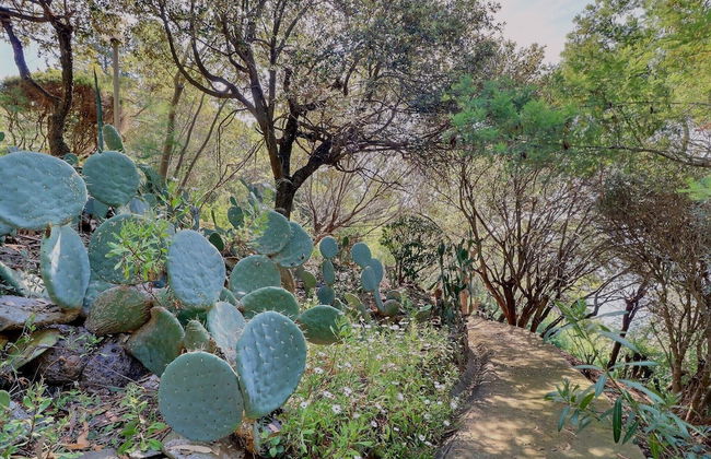 Villa des Fontenelles - Foto 37