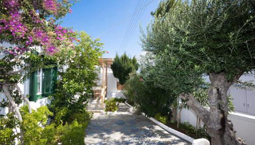 Charming House Platy Gialos - Foto 3, Garden view