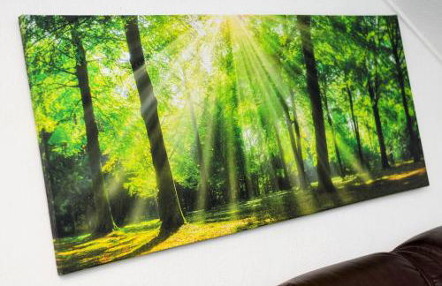 Ferienwohnung Morgenrot im Haus Auszeit Crusoh - Foto 7