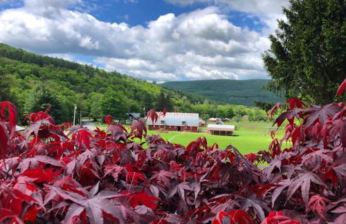 The Blue House On The Hill Catskills—Views - Photo 46