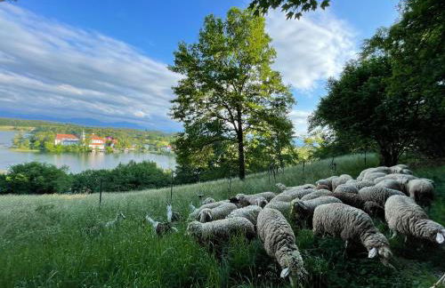 Chiemgau, Seeblick, Haus am Weinberg, 83370 Seeon Oberbayern - Photo 46