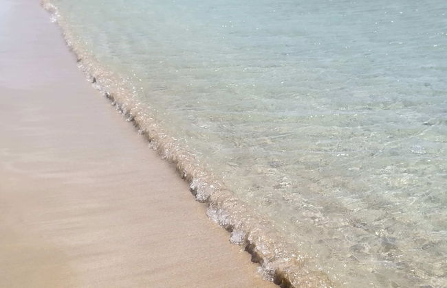 Ktima Grammeno - Foto 19