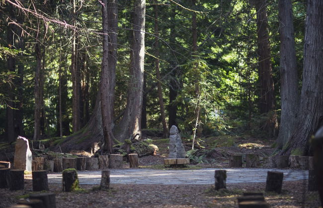 Heartwood Retreats - Foto 40