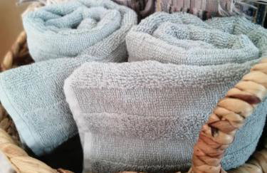 Lemon Tree House - Photo 42