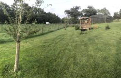 Shepherds Hut (Benny's) - Photo 23