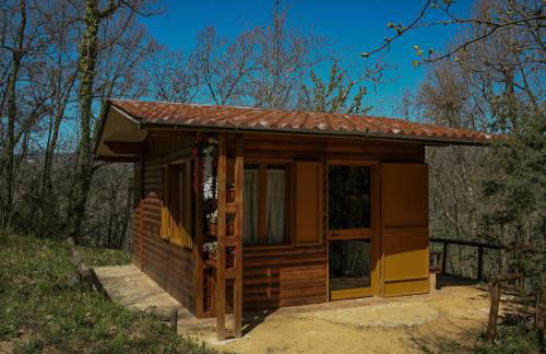 CHALET NEL BOSCO - TENUTA BOCCHINERI - Photo 15