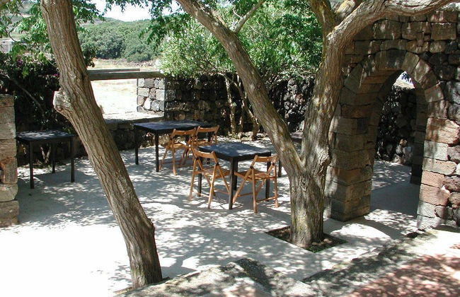 Santa Teresa Azienda Agricola - Photo 26