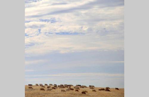 Monte do Arneiro - Foto 53