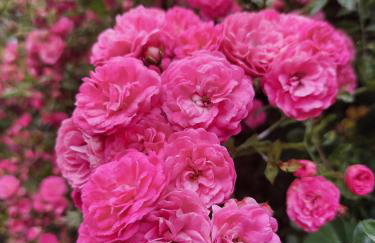 The Old Farmhouse - Foto 8