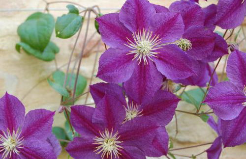 Agriturismo SPA Serpanera - Photo 69