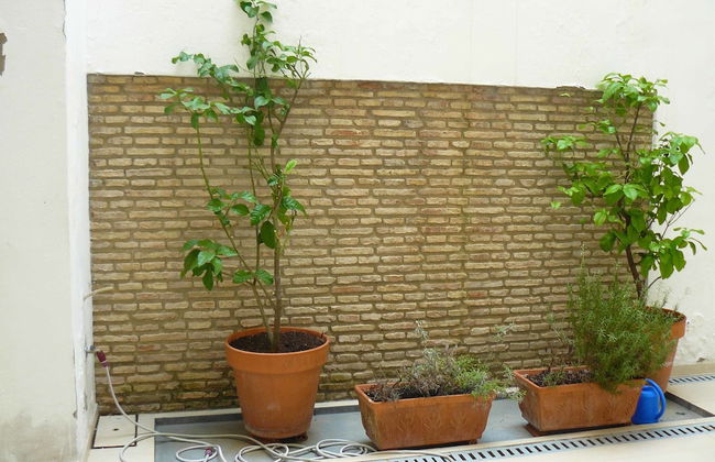 Alfaqueque Apartment - Foto 23