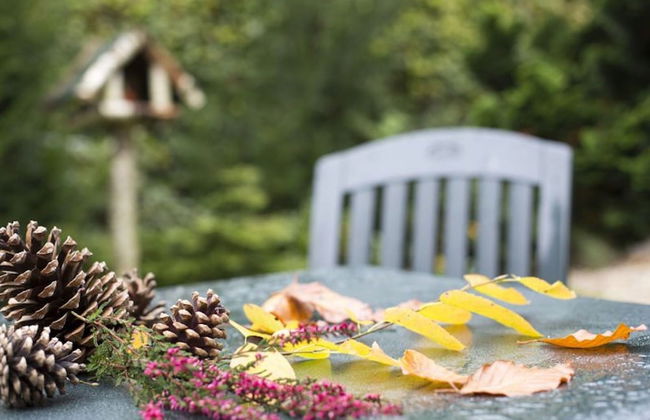 Holiday Home in Gelderland Near Nature Trails - Photo 8