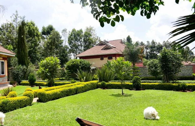 Lux Suites Elgon view Holiday House - Foto 7