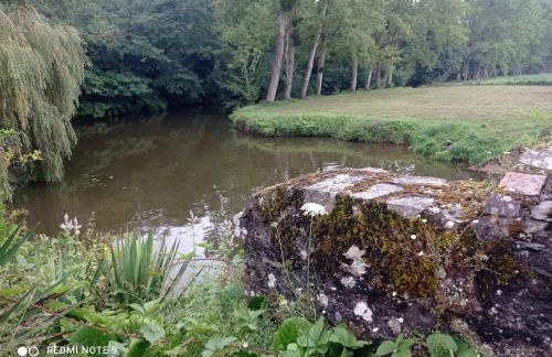 Repos au bord de l'eau - Photo 6