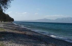 Ideal Cottage Holidays-Ιδανικές Εξοχικές Διακοπές - Foto 25