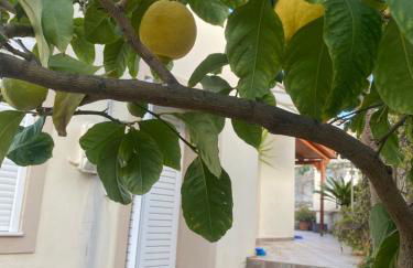 Manousos Guest House - Foto 22