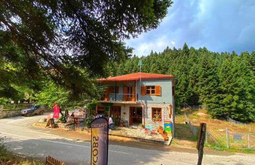 Pavliani House - Foto 54