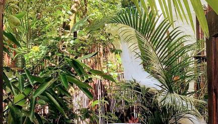 REFUGIO DO SAGRADO MORERE Tropical Lodge - A Casa do Vigía - Foto 2