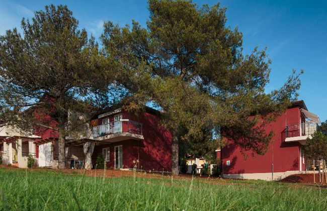 Apartments Katoro Plava Laguna - Foto 3