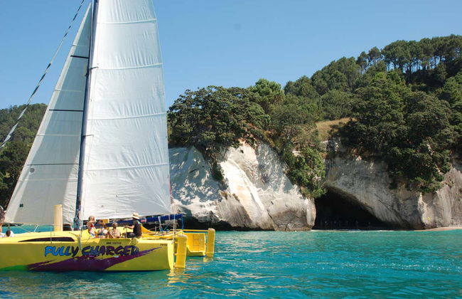 Coromandel Coast Boat Tour - Photo 1