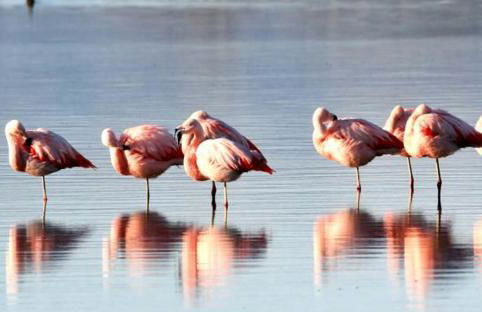 BERGERIE PLAGE Entièrement rénové Prestations Premium Baignoire Balnéo Clim Vue Piscine et parc - Foto 39