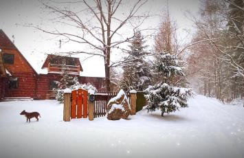 Willa Siemianówka - Sauna, Jacuzzi - Foto 2
