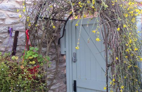 Frog Palace - Secure Parking-Outside Area-Topsham-Exeter-Beach-Chiefs-WiFi - Foto 14