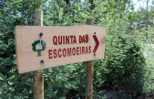 Quinta Das Escomoeiras - Foto 25