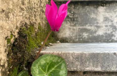 La finestra sul Farfa - Foto 22