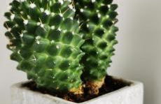 Vue magnifique, piscine privée chauffée et sauna à 10min de Monaco - Foto 18