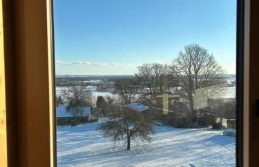 Holzliebe mit Donaublick - Foto 24