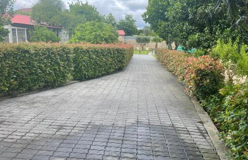 Quinta do Sobrado - Foto 26