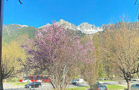 Bright, warm 2BR 2min to gondola, private garden - Foto 13