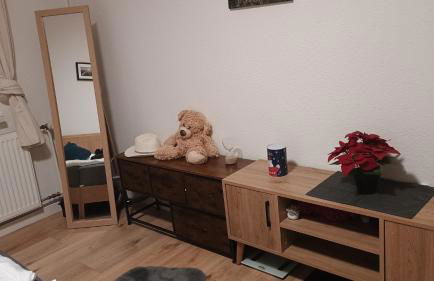 Ferien Appartment Erholung - Foto 9