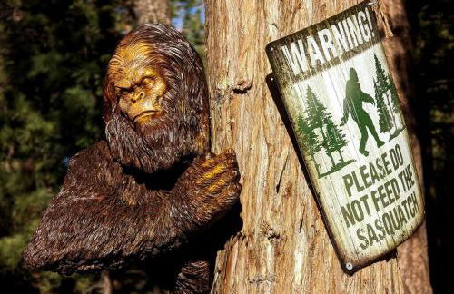 Bel Air of Big Bear - Fun & Tech & Massive Cabin - Foto 25