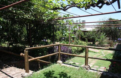 Finca El Vergel Rural - Photo 30