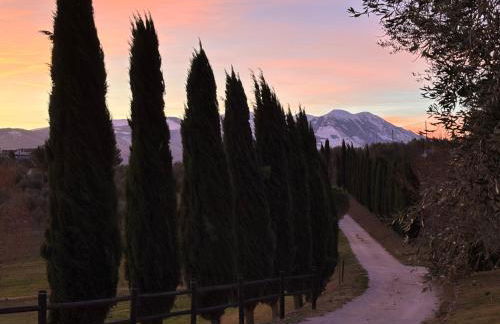 Agriturismo La Masseria - La casa tra gli alberi - Foto 1