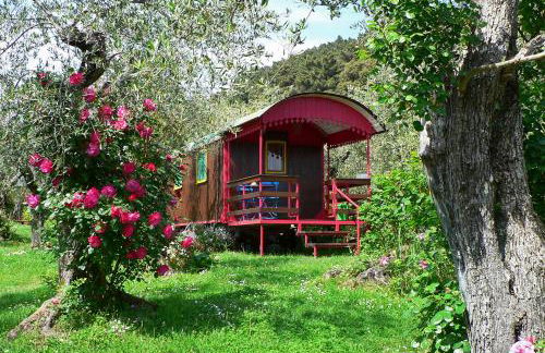 Azienda agricola Della Mezzaluna - Foto 1