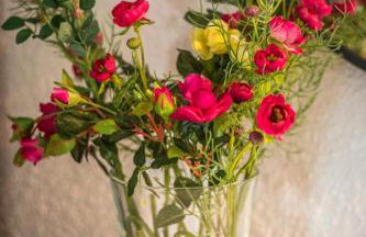 Apartman Magnolia - Foto 44